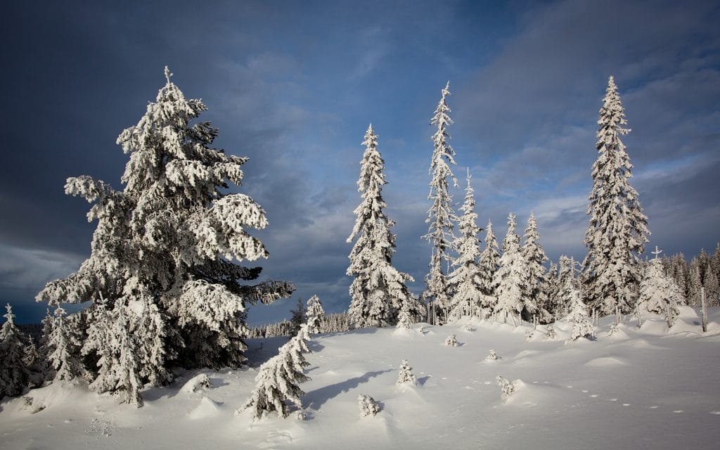 Welcome to snowy Scandinavia - our 2019 Winter Threadventure destination.