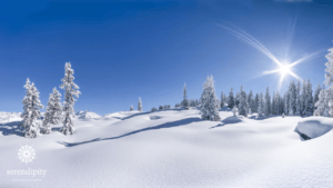 Stitch new fallen snow on your needlepoint canvases in the Nobuko stitch for a realistic effect.