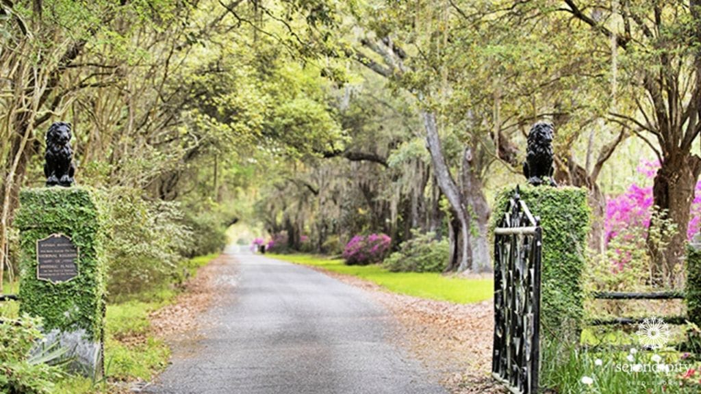 Welcome to Magnolia Plantation and Gardens