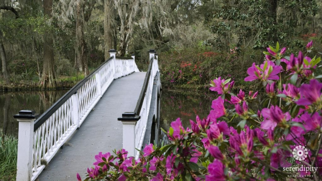 Azaleas in bloom at Magnolia Plantation and Gardens