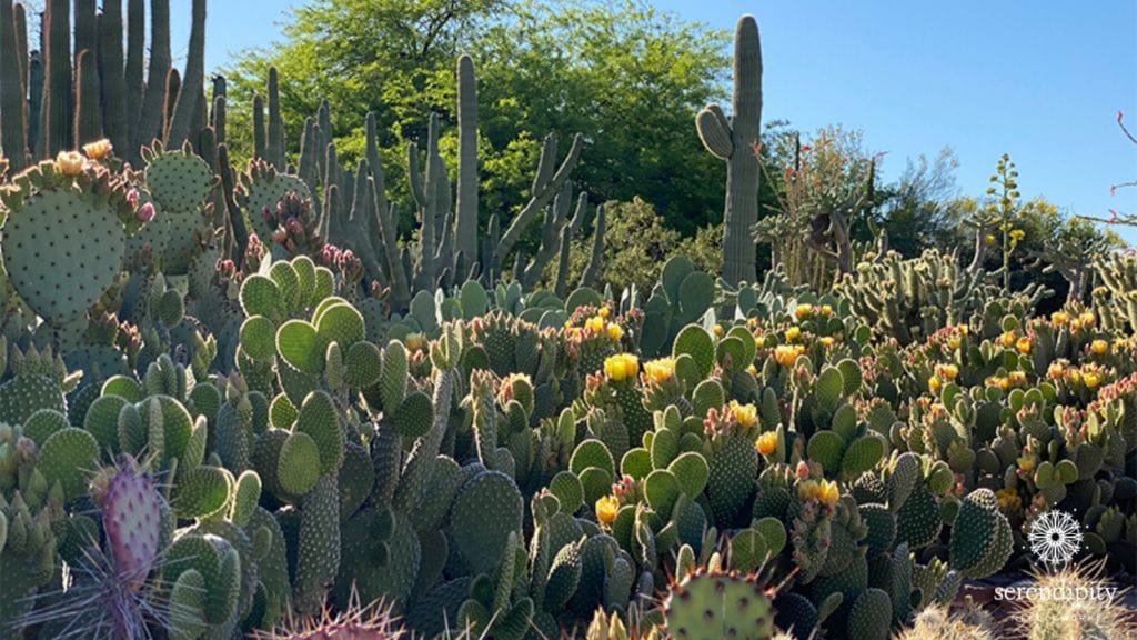 2020 Spring Threadventure_Week 5_Main Image