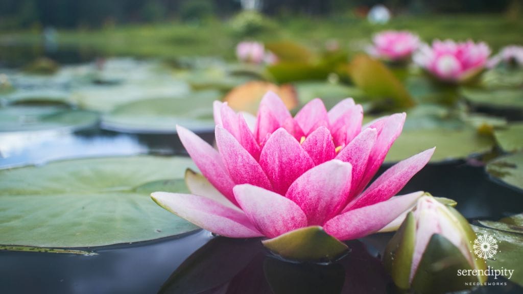 2020 Spring Threadventure_Week 6_Lotus Flower