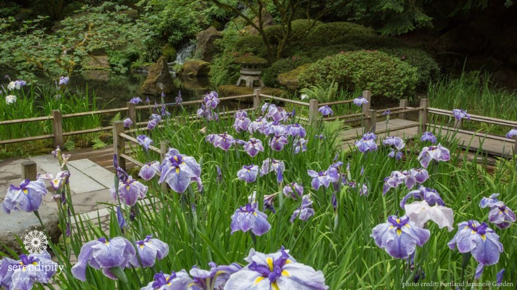 Water features are common in Japanese gardens.