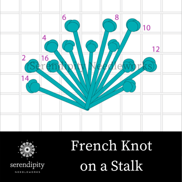 Using Knotted Stitches on Your Needlepoint Serendipity Needleworks