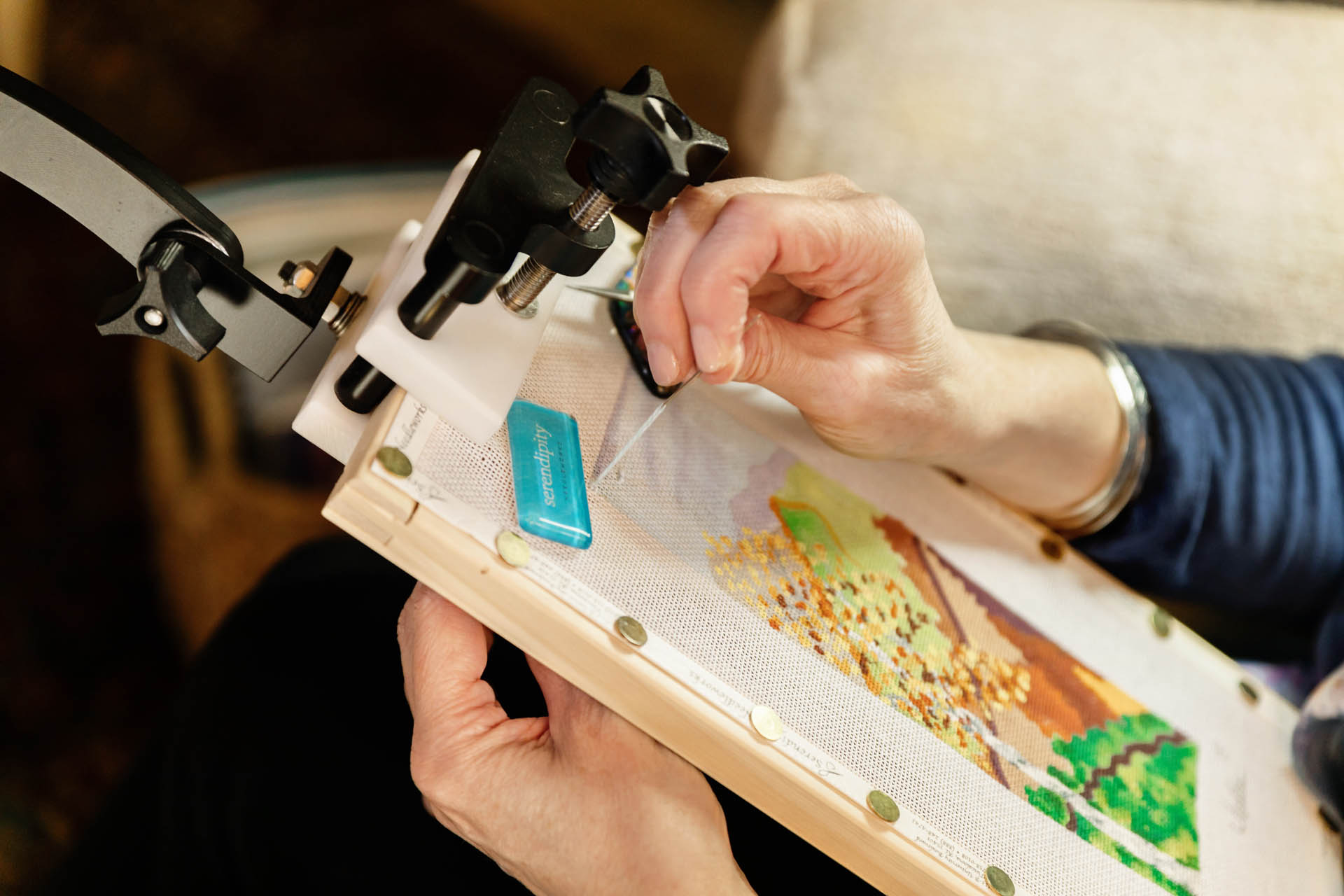 Serendipity Needleworks