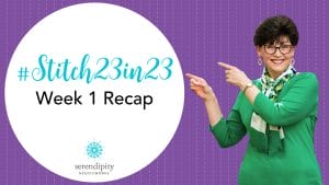 Stitch 23 in 23 Week 1 Recap